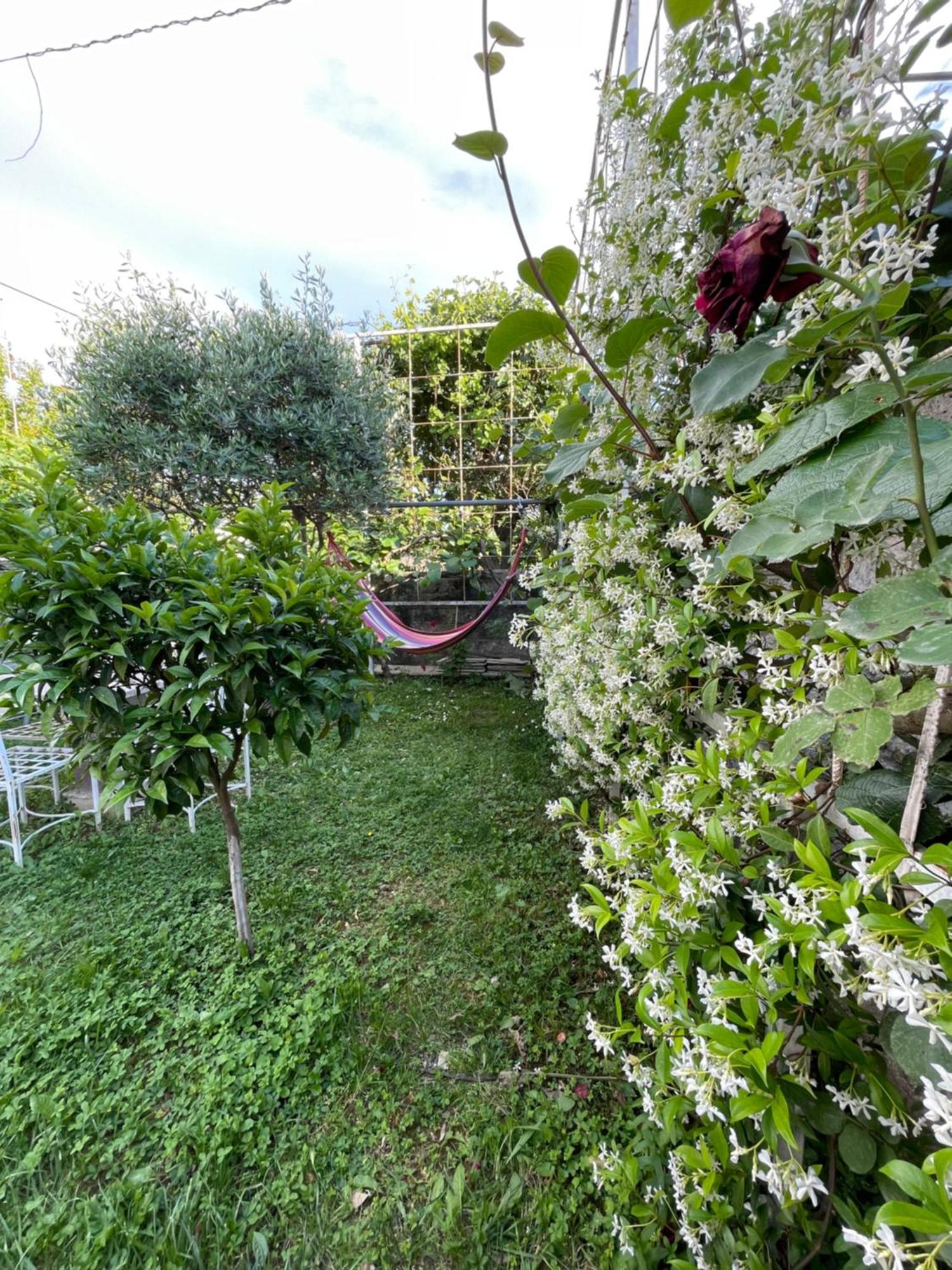 Vila Nela Shkodra Kültér fotó