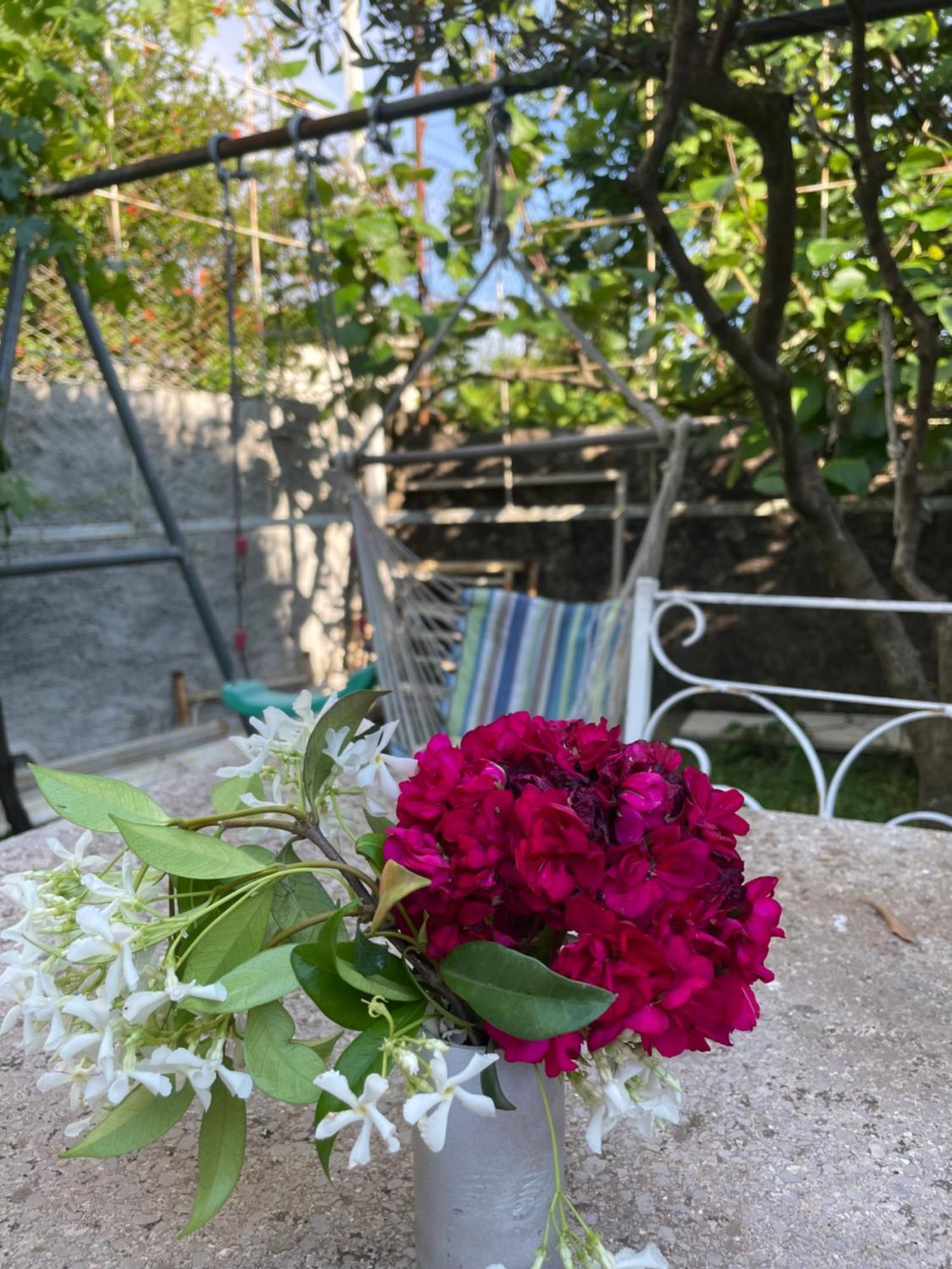 Vila Nela Shkodra Kültér fotó