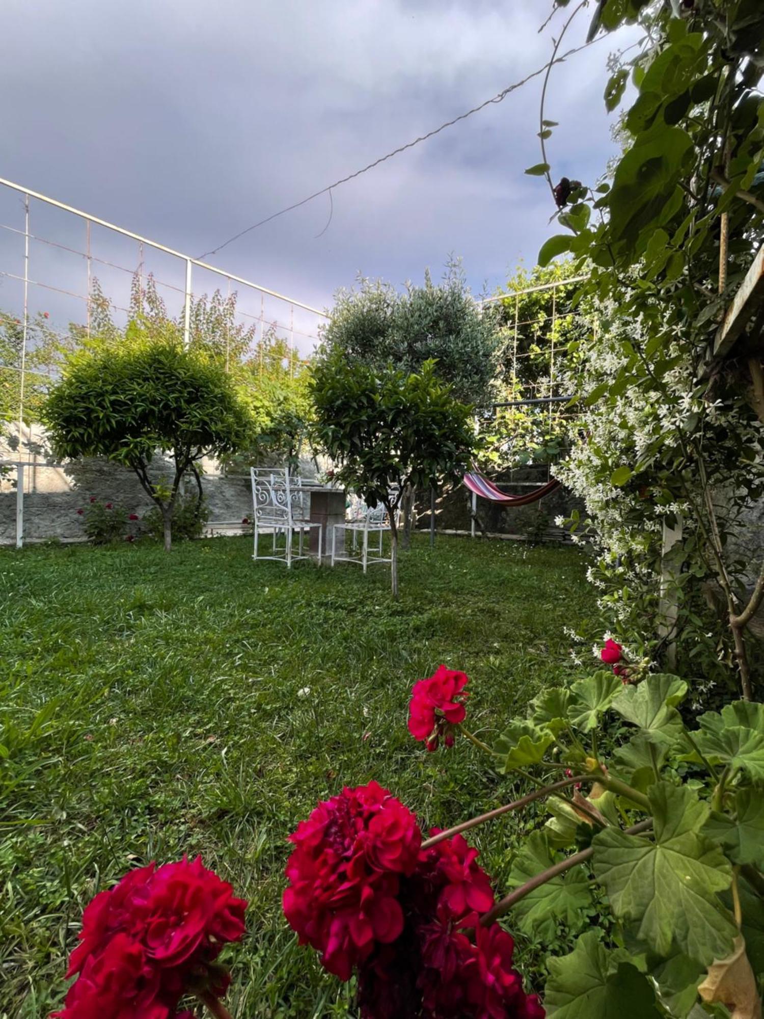 Vila Nela Shkodra Kültér fotó